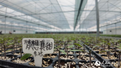 <b>检测对象根基包含金堂县的种植业农产物、畜禽</b>